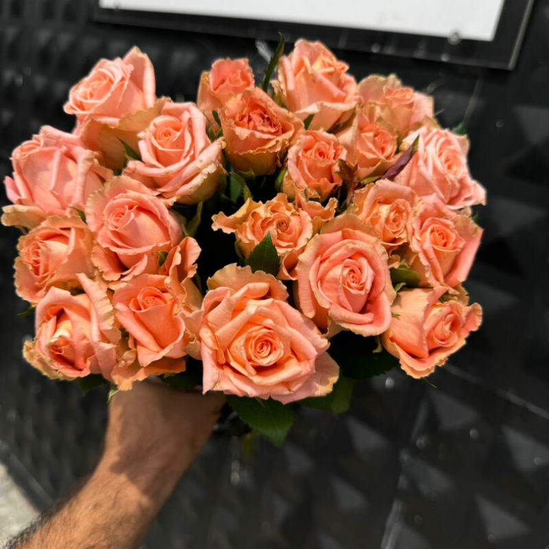 GÜNAYFLORA