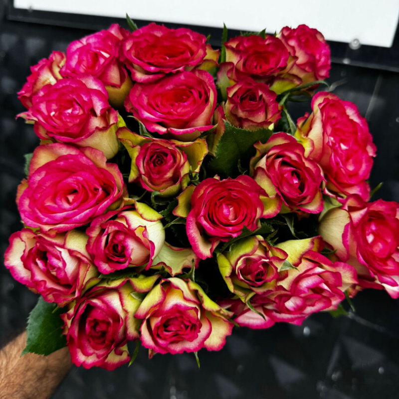 GÜNAYFLORA