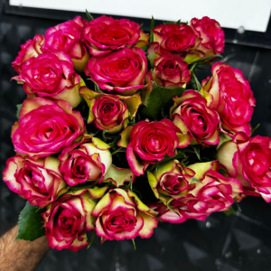 GÜNAYFLORA